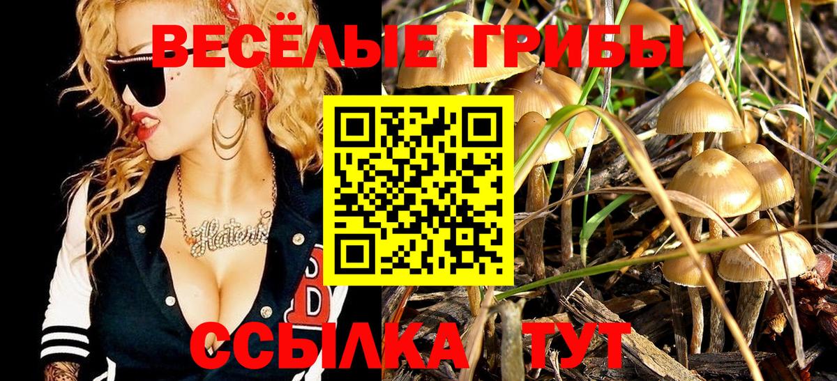 Галлюциногенные грибы Psilocybe  Вход с VPN  где можно купить наркотик  Сарапул 